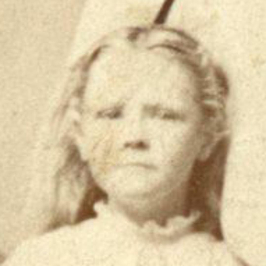Robina Moyes (1866 - 1940) Profile